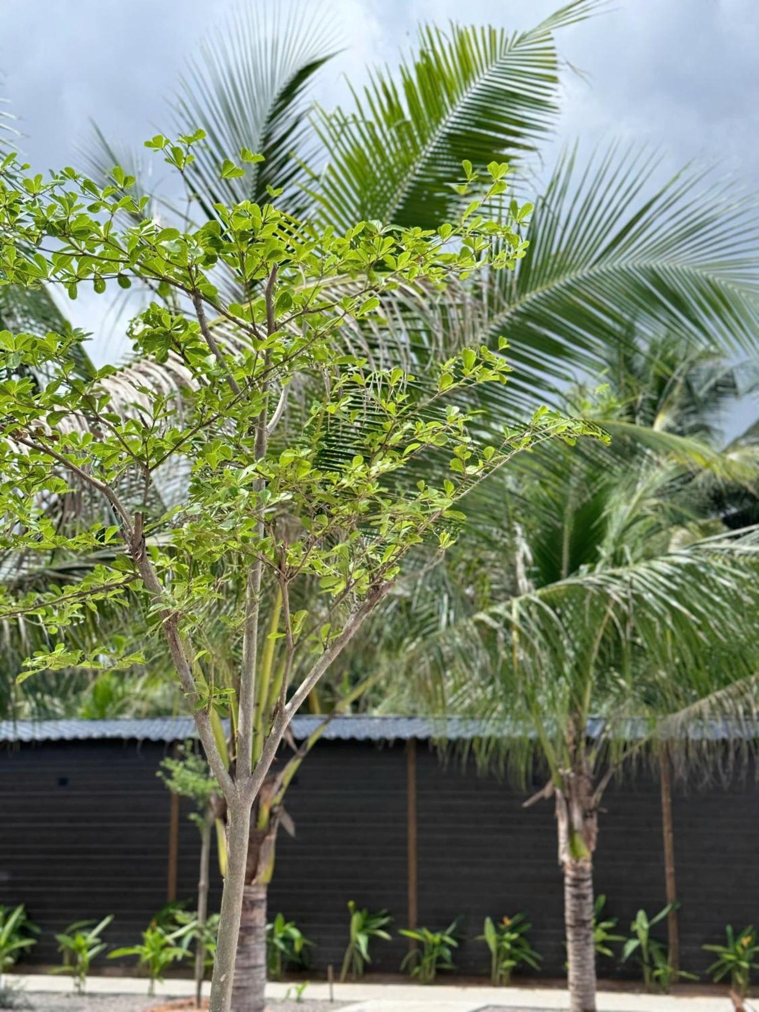 Wanderlust Garden Inn Mui Ne Exterior photo